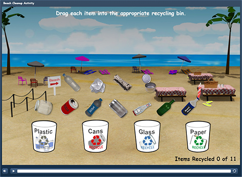 Beach Cleanup Activity